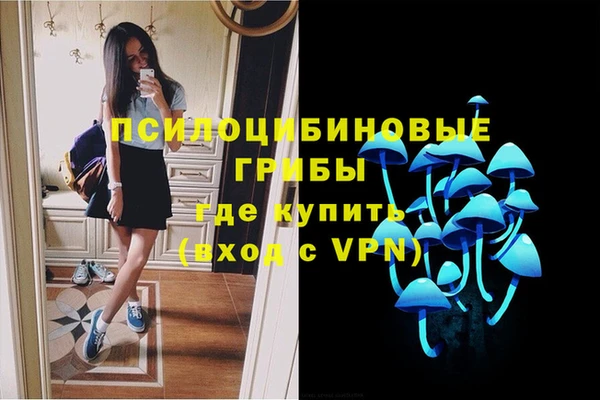 мдма Киреевск