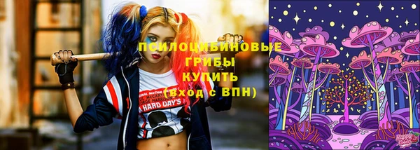 мдма Киреевск