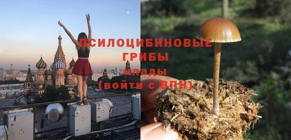 мдма Киреевск