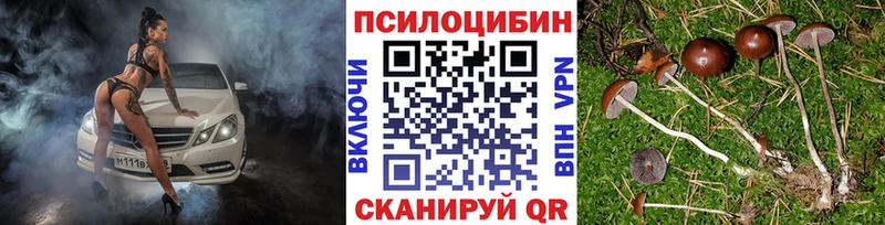 Псилоцибиновые грибы GOLDEN TEACHER  Купить закладки  Ивантеевка 